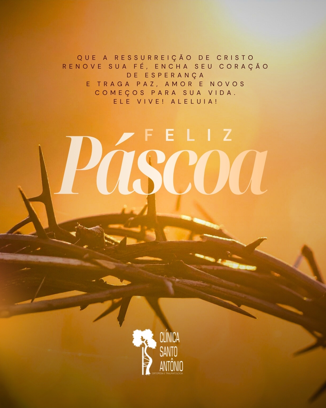 Leia mais sobre o artigo ✨ Feliz Páscoa! ✝️